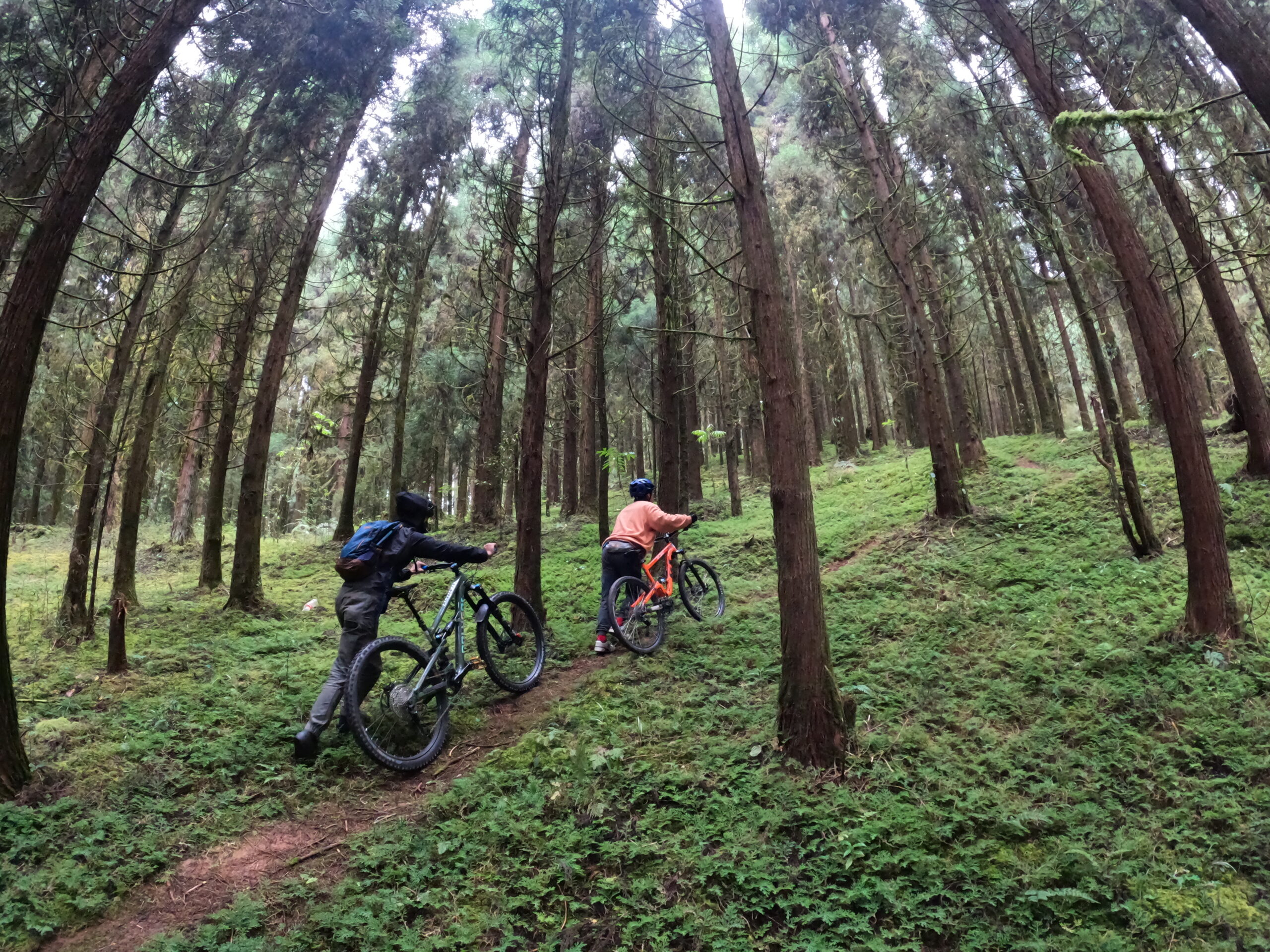 DCIM100GOPROGOPR0070.JPG DCIM100GOPROGOPR0070.JPG